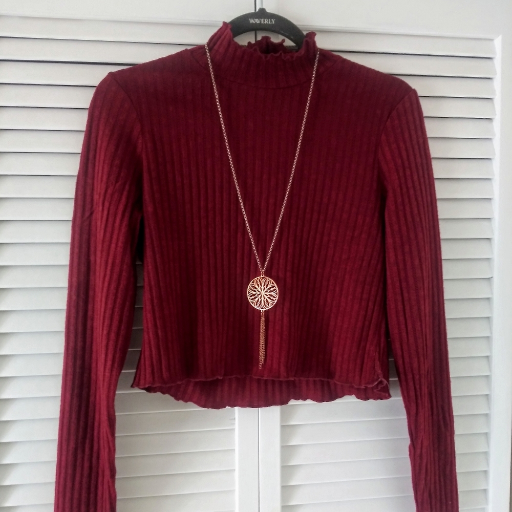 DISCOVERY CLOTHING- Crop Turtle Neck Sweater